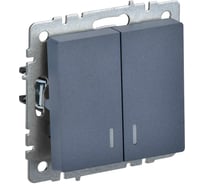 2-клавишный выключатель IEK Brite с индикацией 10а вс10-2-1-брм маренго BR-V20-1-10-K35