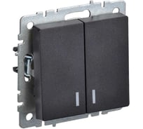 2-клавишный выключатель IEK Brite с индикацией 10а вс10-2-1-брч черный BR-V20-1-10-K02
