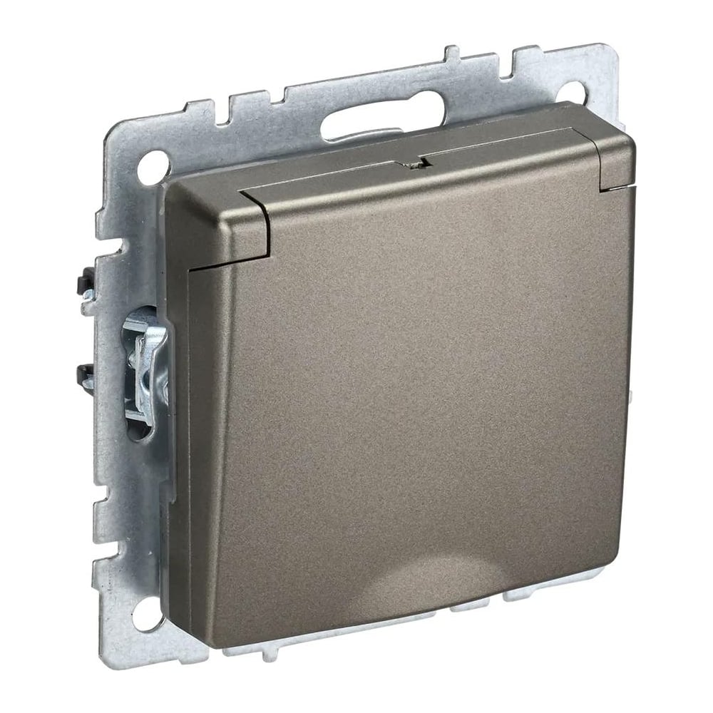 1-местная розетка IEK Brite рсбш10-3-44-брш с заземлением, с защитными ...