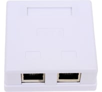 Компьютерная розетка SUPRLAN 8P8C (RJ-45), FTP, 6, 2 порта 10-0353