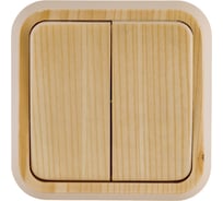 Выключатель ООО МПО Электротехника открытой установки 2 клавишный 1523