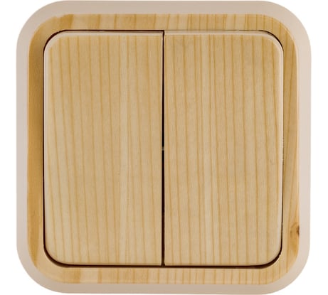 Выключатель ООО МПО Электротехника открытой установки 2 клавишный 1523