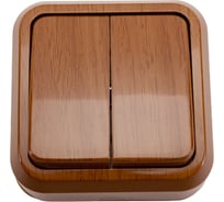 Выключатель открытой установки ООО МПО Электротехника 2 клавишный 1531