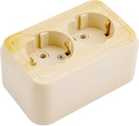 Розетка открытой установки ООО МПО Электротехника 2 мест. с з/к 2819