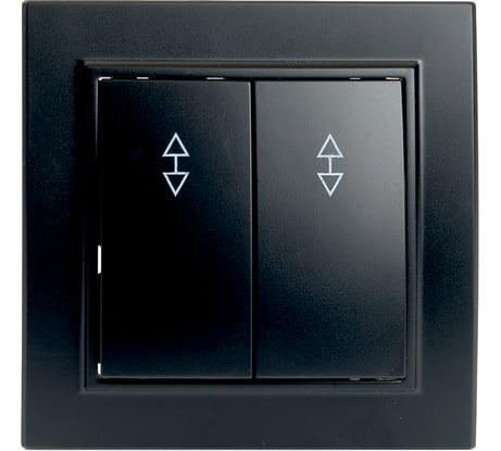 2-клавишный переключатель STEKKER psw10-9008-03, 250в, 10а, серия эрна, черный, 39921