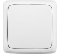 Одноклавишный переключатель HEGEL с изолирующей пластиной ВА10-163