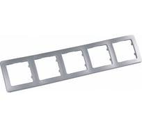 Пятиместная рамка HEGEL серебро Р405-06