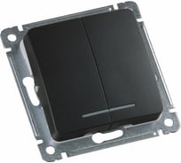 Механизм двухклавишного выключателя HEGEL с индикацией, черный ВС10-452-08