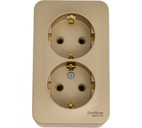 Розетка Systeme Electric Blanca о/у, двойная, с заземлением, без шторок, 16а, 250в, титан BLNRA010204