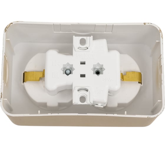 Розетка Systeme Electric Blanca о/у, двойная, с заземлением, без шторок, 16а, 250в, титан BLNRA010204