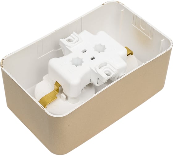 Розетка Systeme Electric Blanca о/у, двойная, с заземлением, без шторок, 16а, 250в, титан BLNRA010204