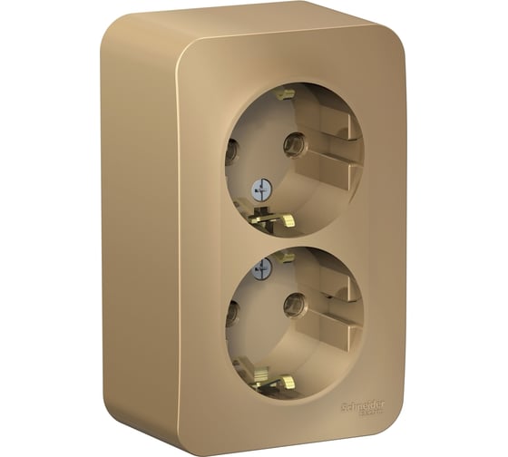 Розетка Systeme Electric Blanca о/у, двойная, с заземлением, без шторок, 16а, 250в, титан BLNRA010204