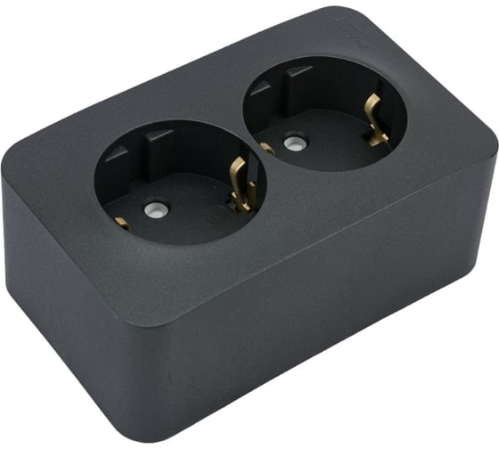 Розетка Systeme Electric Blanca о/у, двойная, с заземлением, со шторками, изол.пл., 16а, 250в, антрацит BLNRA011216