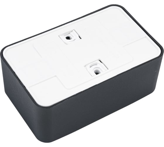 Розетка Systeme Electric Blanca о/у, двойная, с заземлением, со шторками, изол.пл., 16а, 250в, антрацит BLNRA011216
