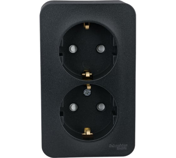 Розетка Systeme Electric Blanca о/у, двойная, с заземлением, со шторками, изол.пл., 16а, 250в, антрацит BLNRA011216
