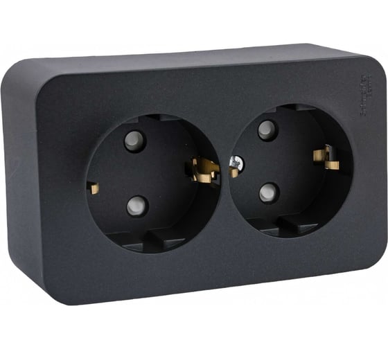 Розетка Systeme Electric Blanca о/у, двойная, с заземлением, со шторками, изол.пл., 16а, 250в, антрацит BLNRA011216