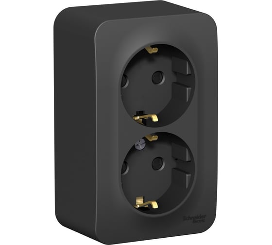 Розетка Systeme Electric Blanca о/у, двойная, с заземлением, со шторками, изол.пл., 16а, 250в, антрацит BLNRA011216
