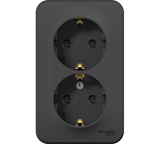 Розетка Systeme Electric Blanca о/у, двойная, с заземлением, со шторками, изол.пл., 16а, 250в, антрацит BLNRA011216