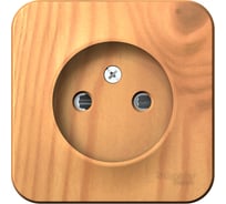 Розетка Systeme Electric Blanca о/у, без заземления, со шторк., изол.пл., 16а, 250в, ясень BLNRA001115