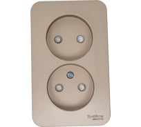 Розетка Systeme Electric Blanca о/у, двойная, без заземления, со шт., изол.пл., 16а, 250в, титан BLNRA001214