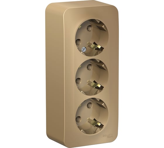 Розетка Systeme Electric Blanca о/у, 3-я, без заземления, со шторками, изол.пл., 16а, 250в, титан BLNRA001314