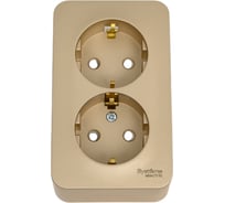 Розетка Systeme Electric Blanca о/у, двойная, с заземлением, со шторками, 16а, 250в, титан BLNRA011204