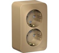 Розетка Systeme Electric Blanca о/у, двойная, с заземлением, со шторками, 16а, 250в, титан BLNRA011204