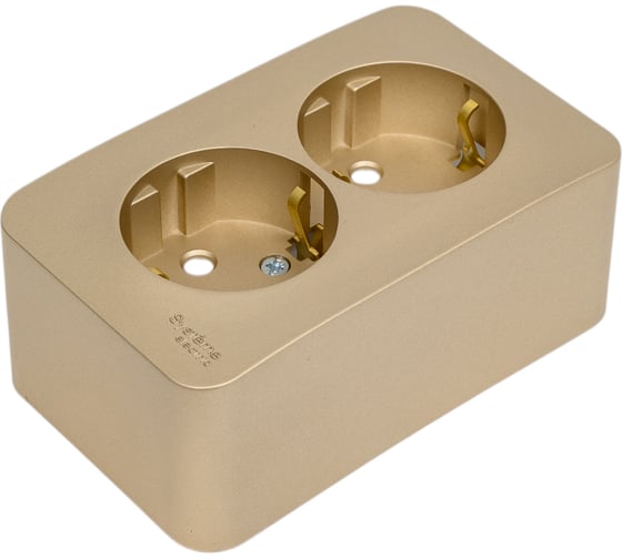 Розетка Systeme Electric Blanca о/у, двойная, с заземлением, со шторками, 16а, 250в, титан BLNRA011204