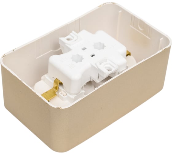 Розетка Systeme Electric Blanca о/у, двойная, с заземлением, со шторками, 16а, 250в, титан BLNRA011204