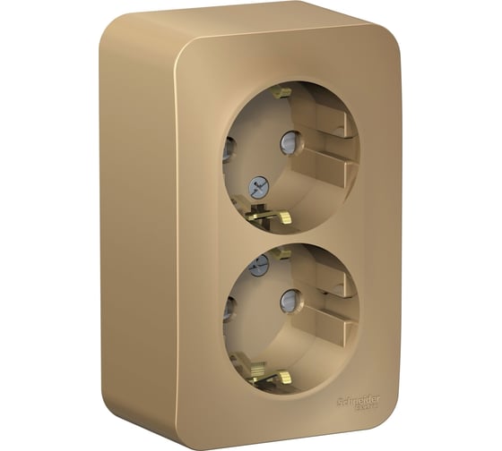 Розетка Systeme Electric Blanca о/у, двойная, с заземлением, со шторками, 16а, 250в, титан BLNRA011204 1