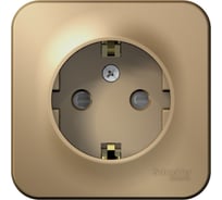 Розетка Systeme Electric Blanca о/у, с заземлением, со шторками, 16а, 250в, титан BLNRA011104
