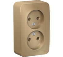 Розетка Systeme Electric Blanca о/у, двойная, без заземления, без штор., 16а, 250в, титан BLNRA000204