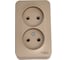 Розетка Systeme Electric Blanca о/у, двойная, без заземления, без штор., 16а, 250в, титан BLNRA000204 2