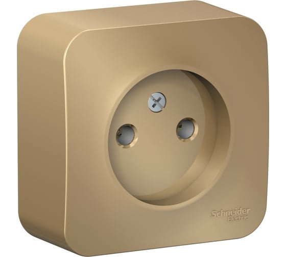 Розетка Systeme Electric Blanca о/у, без заземления, без шторок, 16а, 250в, титан BLNRA000104