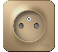 Розетка Systeme Electric Blanca о/у, без заземления, со шторк., изол.пл., 16а, 250в, титан BLNRA001114