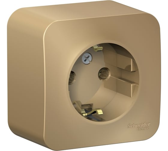 Розетка Systeme Electric Blanca о/у, без заземления, со шторк., изол.пл., 16а, 250в, титан BLNRA001114