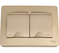 Розетка Systeme Electric Blanca с/у, ip44 двойная, с заземлением, со шторками, с крышками, 16а, 250в, титан BLNRS441124