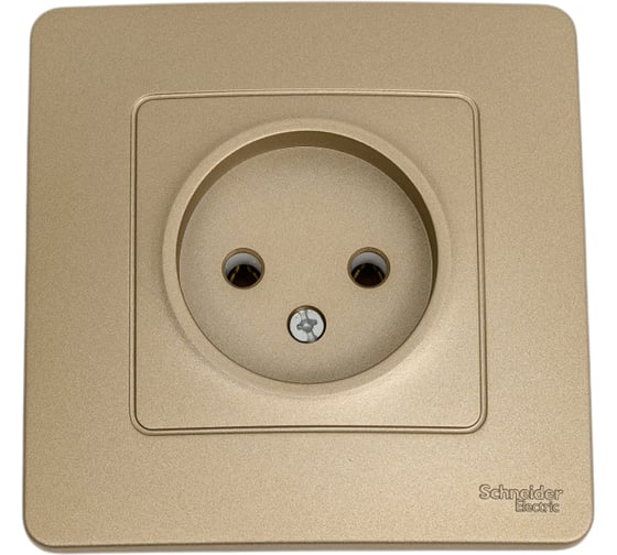 Розетка Systeme Electric Blanca с/у, без заземления, без шторок 16а, 250в, титан BLNRS000014