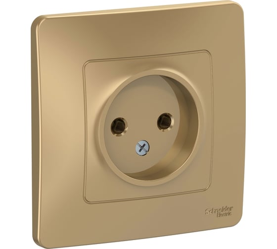 Розетка Systeme Electric Blanca с/у, без заземления, без шторок 16а, 250в, титан BLNRS000014