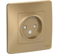 Розетка Systeme Electric Blanca с/у, без заземления, со шторками, 16а, 250в, титан BLNRS000114