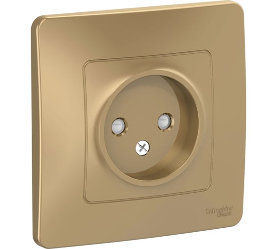 Розетка Systeme Electric Blanca с/у, без заземления, со шторками, 16а, 250в, титан BLNRS000114 1