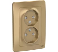 Розетка Systeme Electric Blanca с/у, двойная, без заземления, со шторками, 16а, 250в, титан BLNRS000124