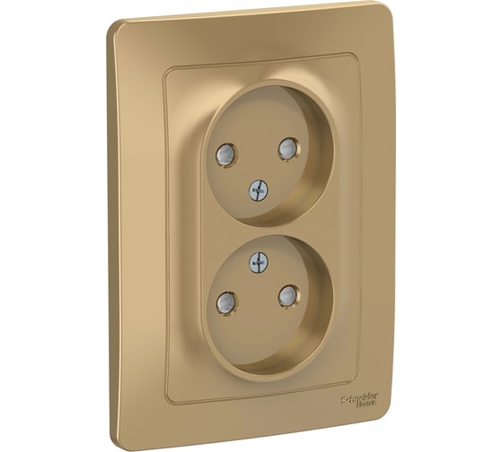 Розетка Systeme Electric Blanca с/у, двойная, без заземления, со шторками, 16а, 250в, титан BLNRS000124