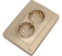 Розетка Systeme Electric Blanca с/у, двойная, с заземлением, со шторками, 16а, 250в, титан BLNRS001124