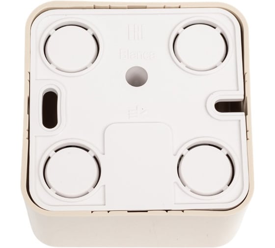 Двойная розетка: компьютерная rj45, кат.5e + телефонная rj11 Systeme Electric Blanca о/у, изол.пл., бежевый BLNIA045117