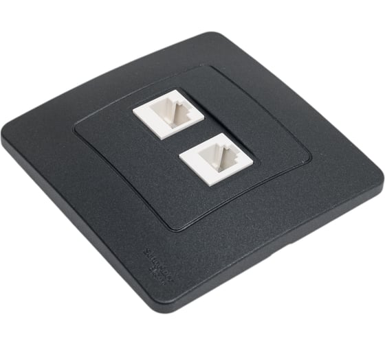 Двойная розетка: компьютерная rj45, кат.5e + телефонная rj11 Systeme Electric Blanca с/у, антрацит BLNIS045116