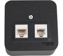 Двойная розетка: компьютерная rj45, кат.5e + телефонная rj11 Systeme Electric Blanca о/у, изол.пл.,антрацит BLNIA045116