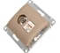 Двойная розетка: тв + компьютерная Systeme Electric Glossa rj45, кат. 5е, механизм, титан GSL000489 2