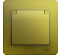 Розетка Systeme Electric Glossa с заземлением, со шторками с крышкой, ip20, 16а, 250в, в сборе, фисташковый GSL001046