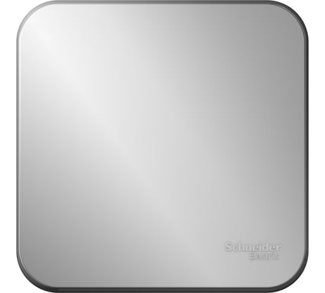 1-клавишный выключатель Systeme Electric Blanca открытой установки (cх.1) с самовозвратом, изолирующая пластина, 10а, алюминий BLNCA101013